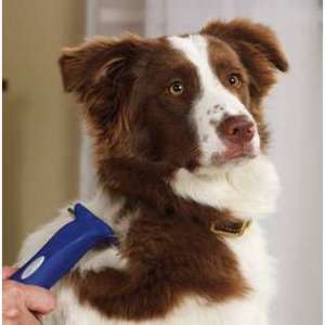Dog-Grooming-Deshedding