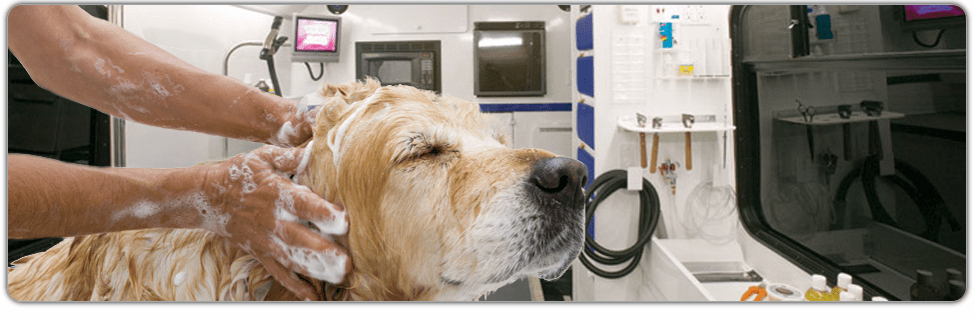 dog-grooming-Southlake